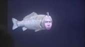seaman