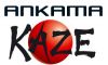 Ankama/Kaze, sponsors peu discrets