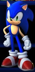 sonicunleashed_hedgehog.jpg